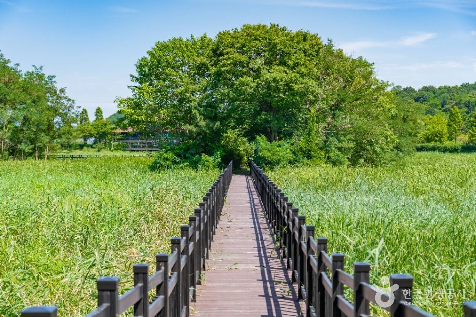 화성_비봉습지공원 (4)