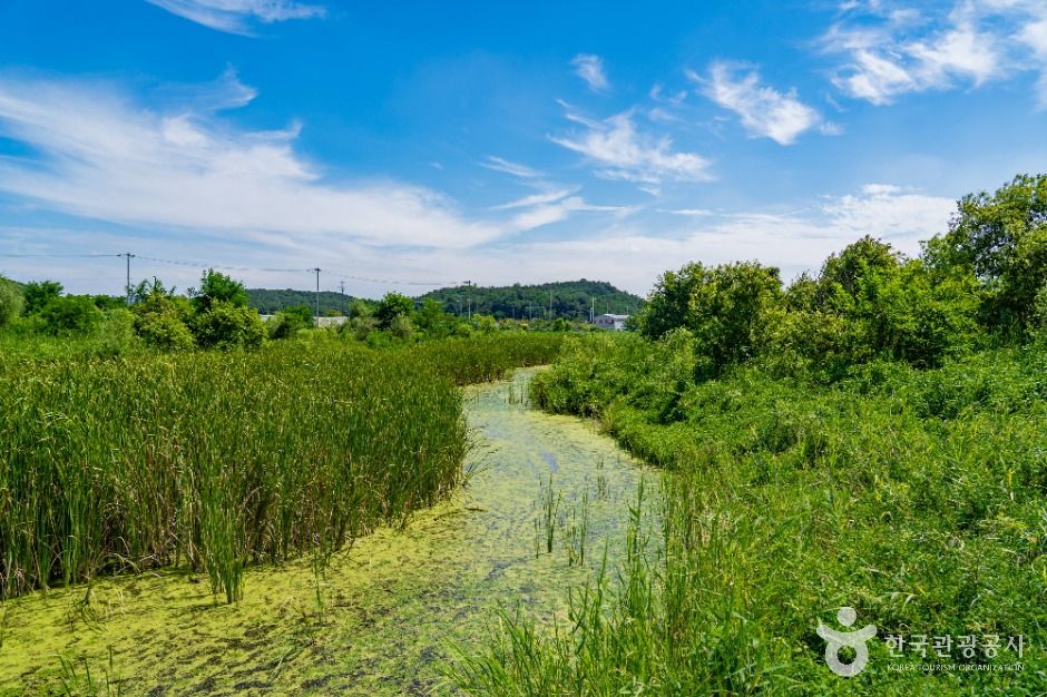 화성_비봉습지공원 (2)