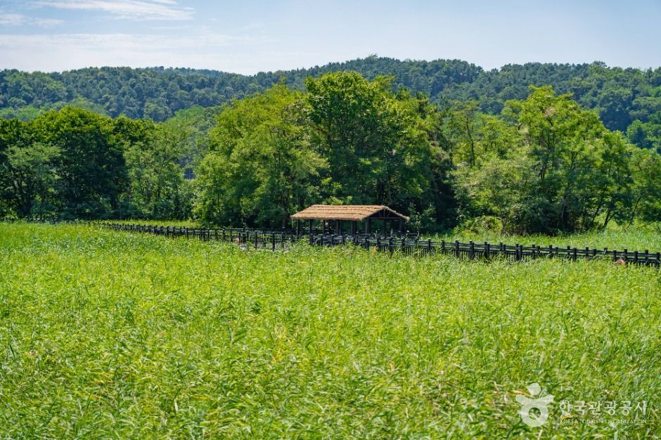 화성_비봉습지공원 (8)