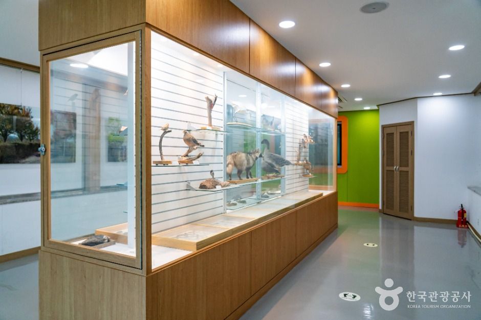 화성_비봉습지공원 (9)