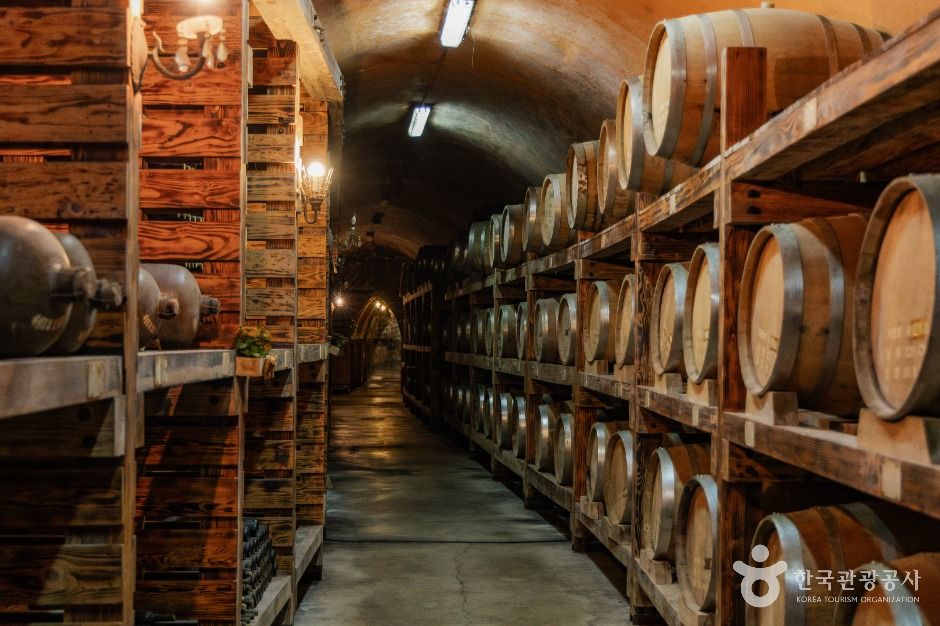 파주_산머루농원 (2)