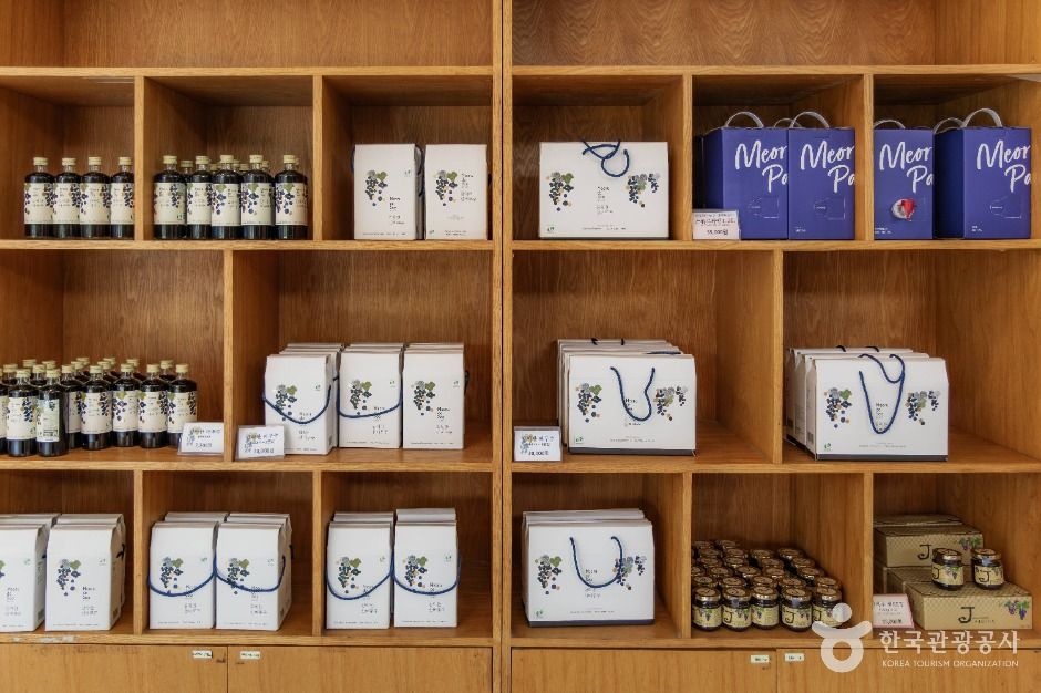 파주_산머루농원 (5)