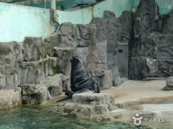 경기_과천_서울동물원08