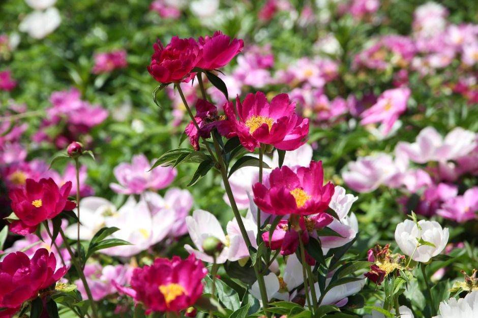 과천_서울대공원 (6)