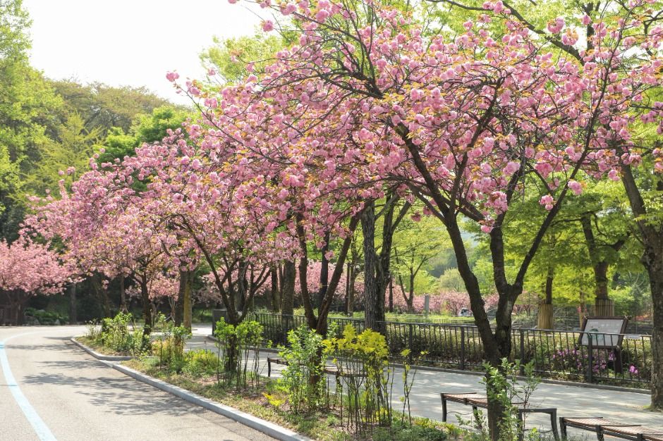 과천_서울대공원 (3)