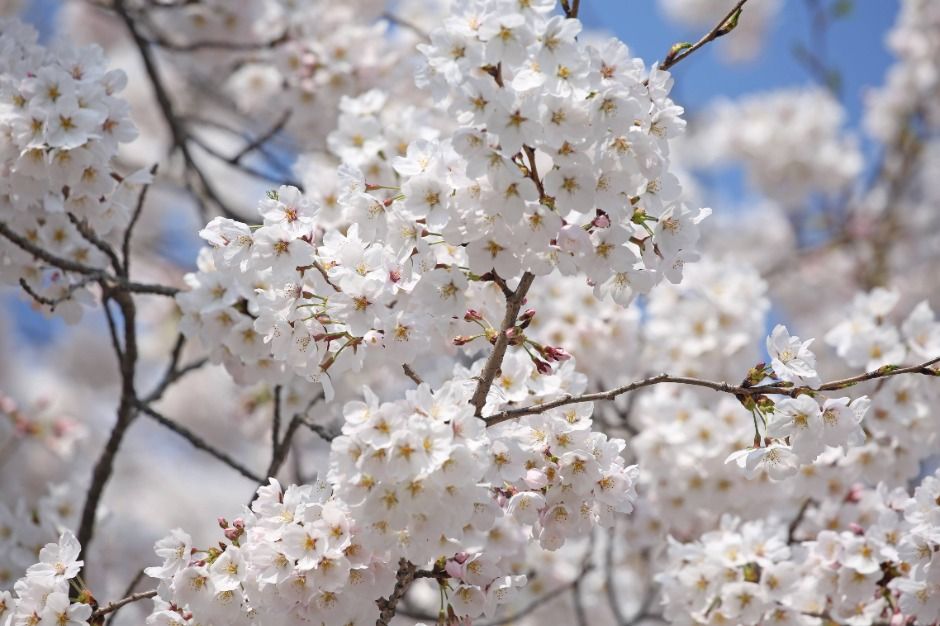 과천_서울대공원 (7)