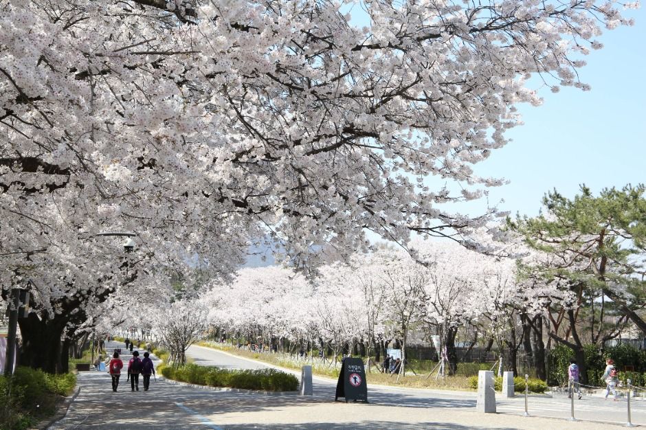 과천_서울대공원 (9)