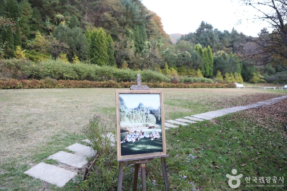 양평_서후리숲 (16)