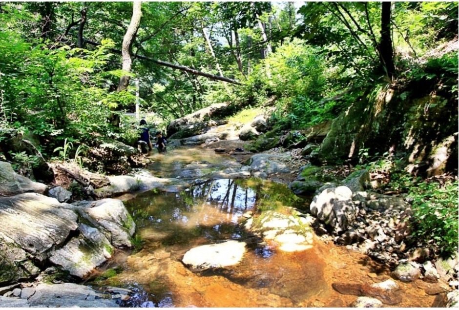 석남사계곡_계곡