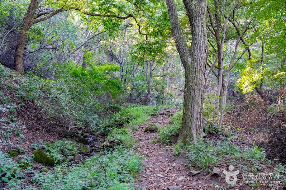 용인_석성산 (8)