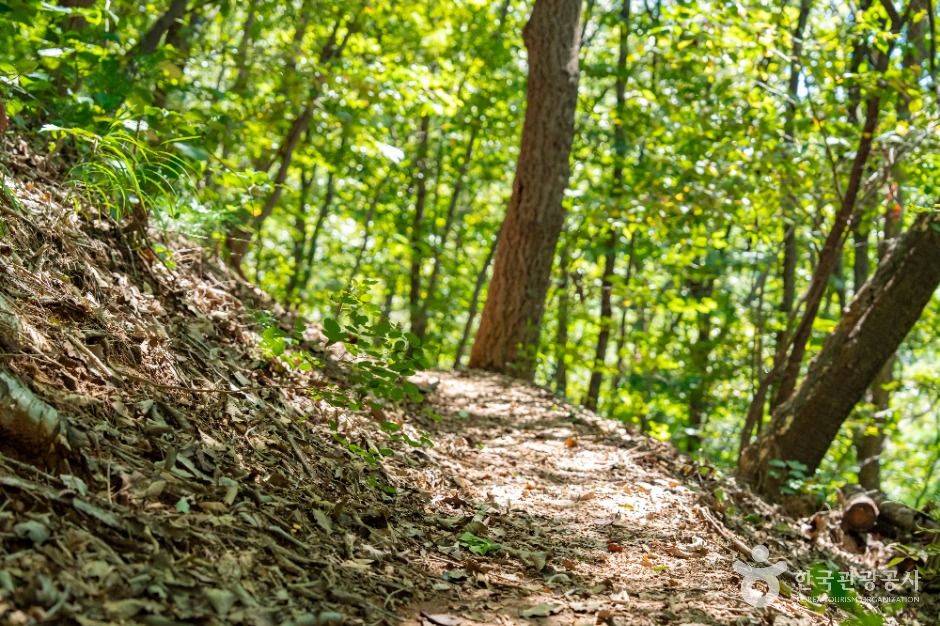 용인_용인 석포숲공원 (1)