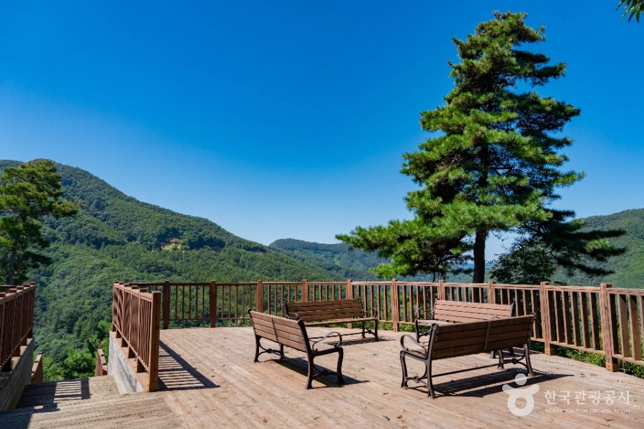 용인_용인 석포숲공원 (3)