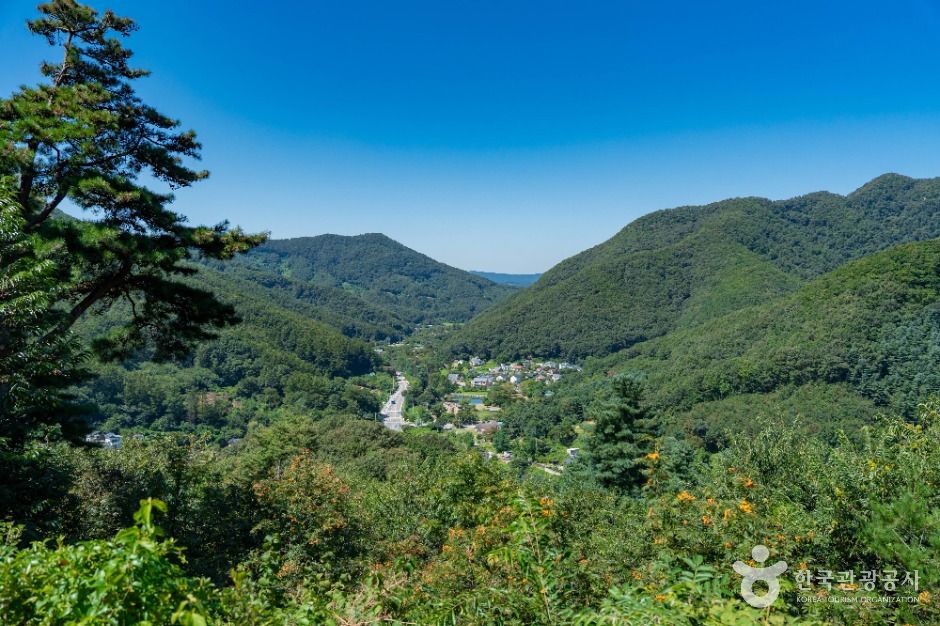 용인_용인 석포숲공원 (6)