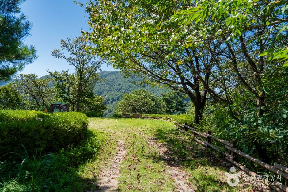 용인_용인 석포숲공원 (7)