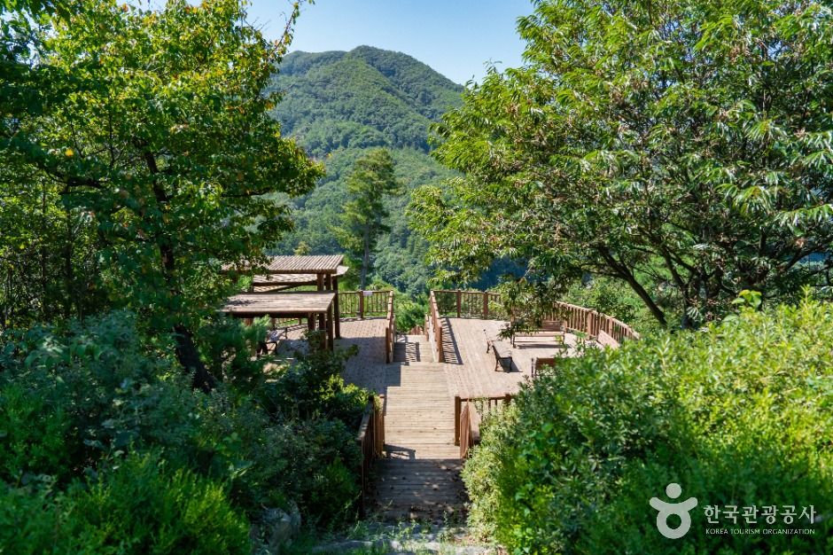 용인_용인 석포숲공원 (8)