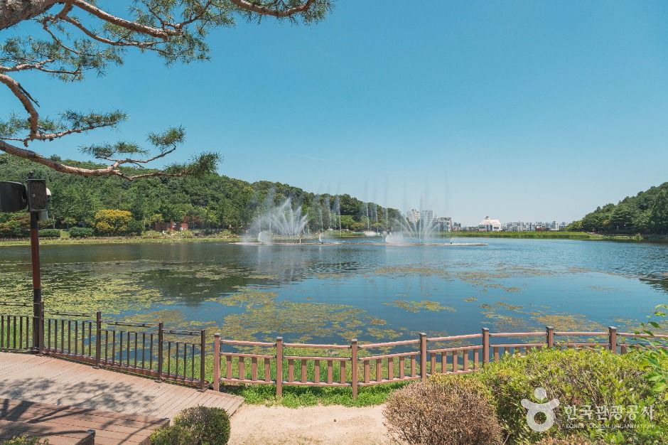 이천_설봉저수지 (2)