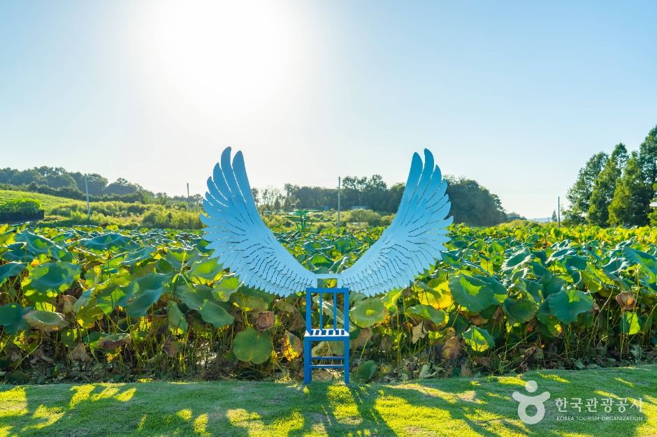 이천_성호호수연꽃단지 (4)