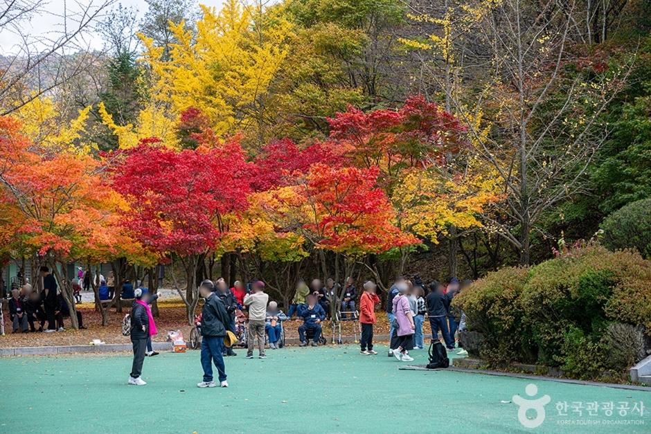소요산국민관광지 (4)