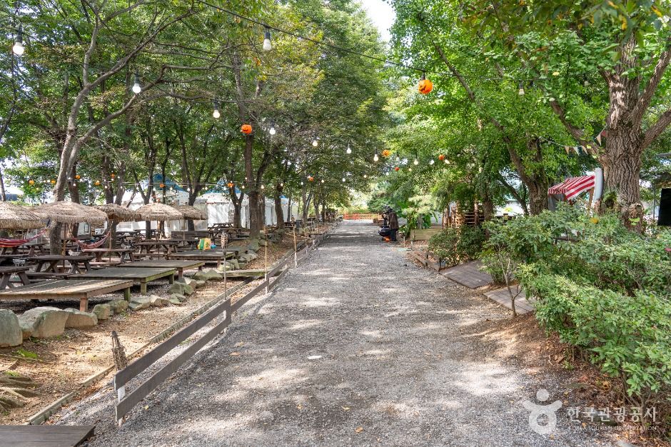 평택_소풍동물원 (2)