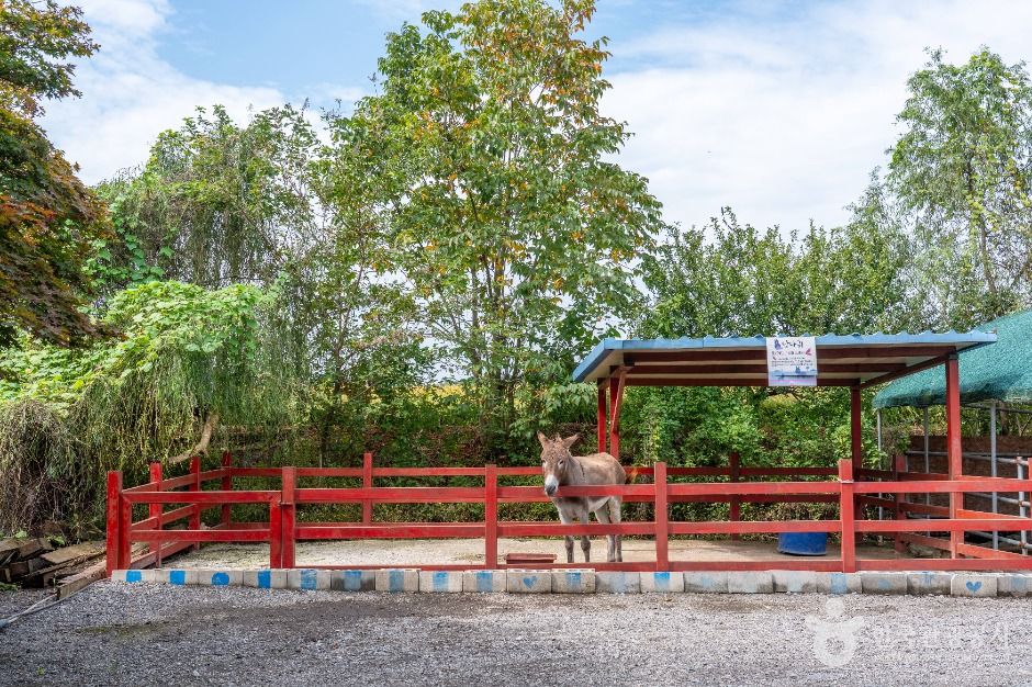 평택_소풍동물원 (3)