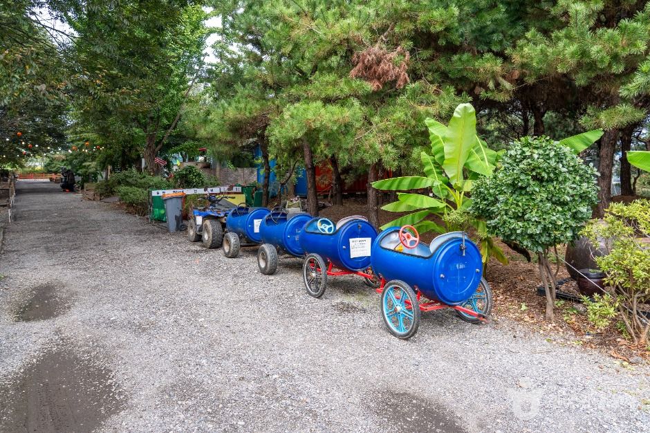 평택_소풍동물원 (4)