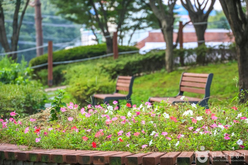 안성_솔밭공원 (4)