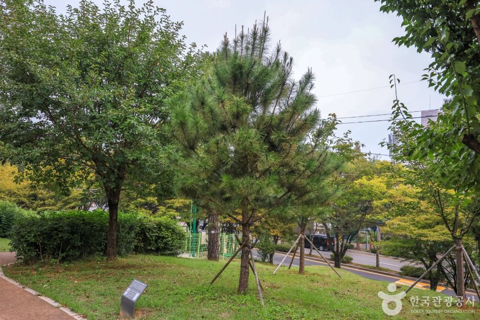 안성_솔밭공원 (6)