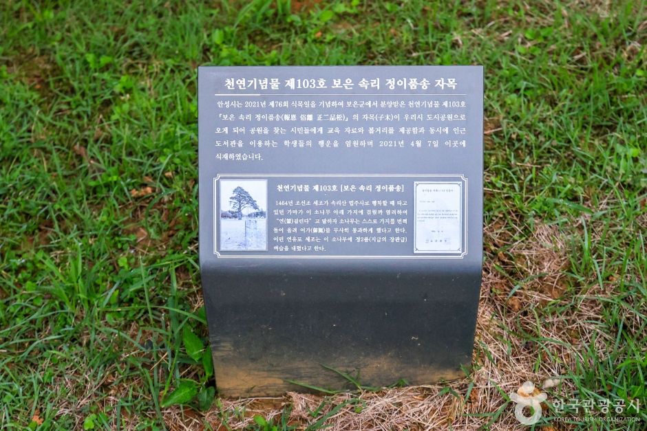 안성_솔밭공원 (7)