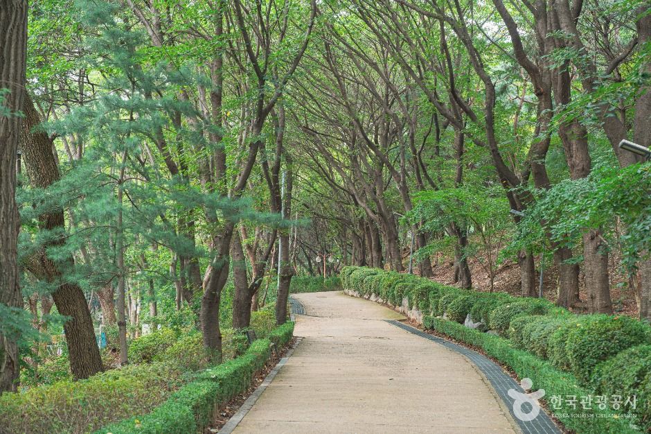 성남_수진공원 (1)