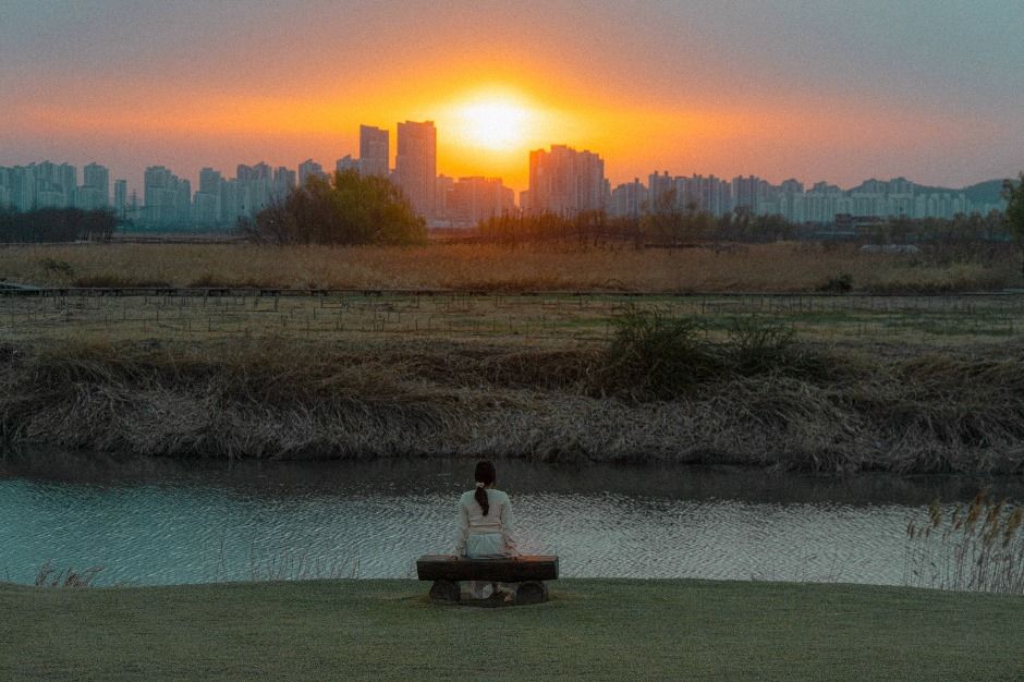 시흥 갯골생태공원 (1)