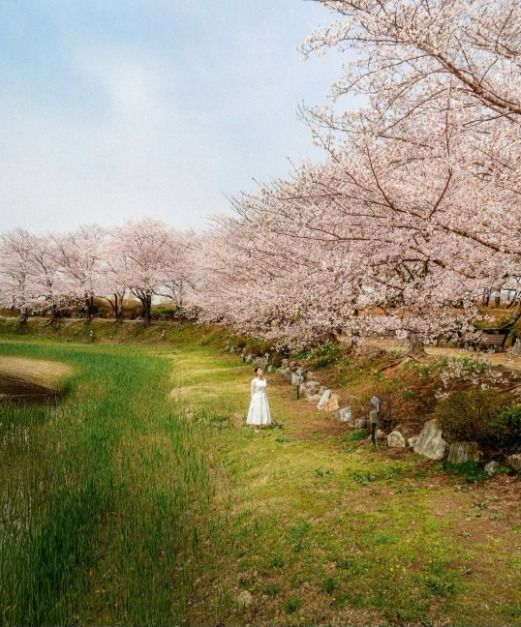 시흥 갯골생태공원 (3)