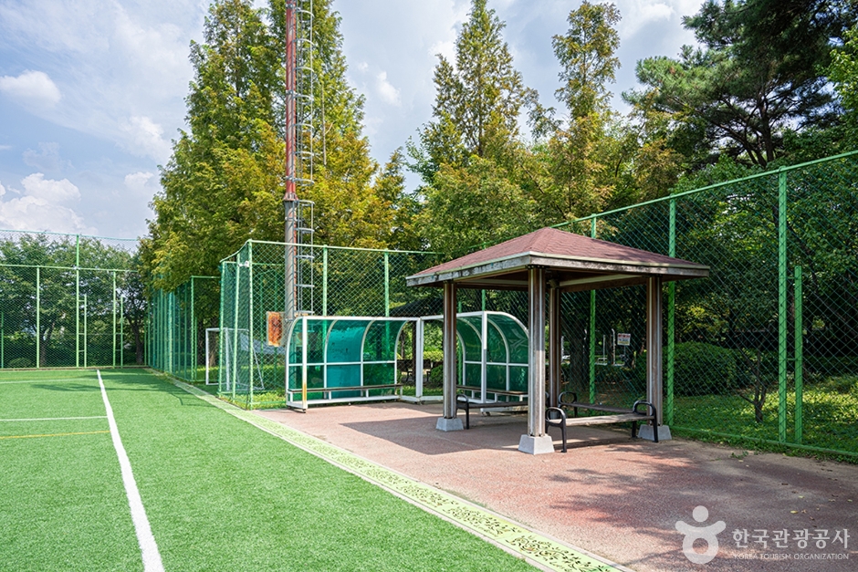 신원체육공원 (11)