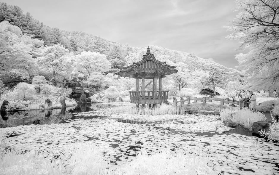 아침고요수목원_132