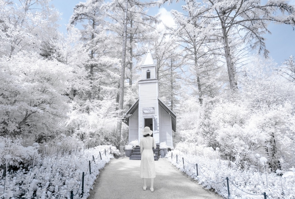 아침고요수목원_134