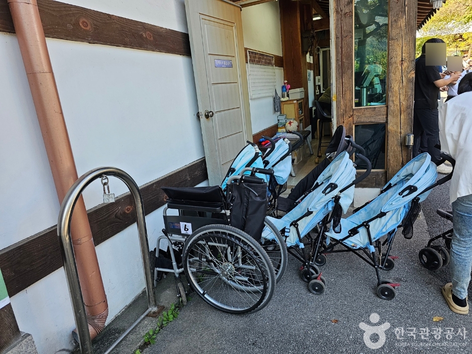 아침고요수목원_11