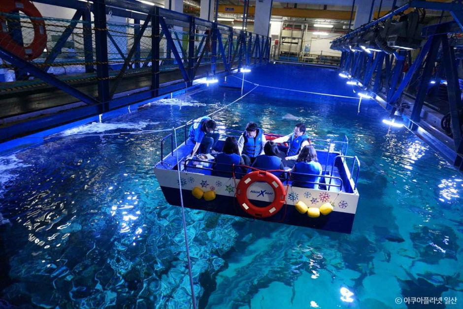 아쿠아플라넷 일산 (5)