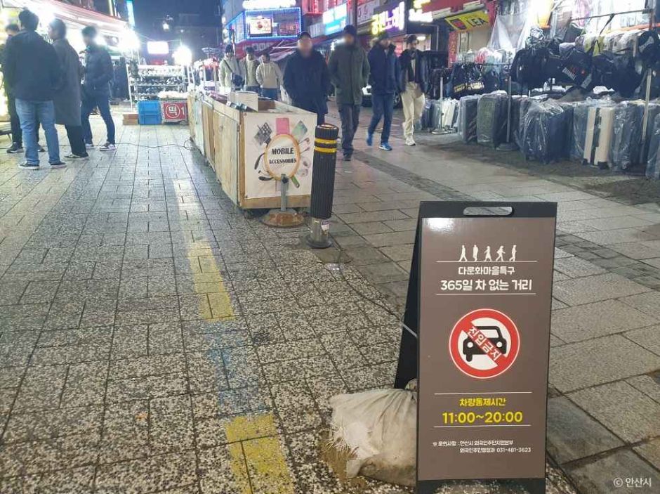 안산 다문화특구 (1)