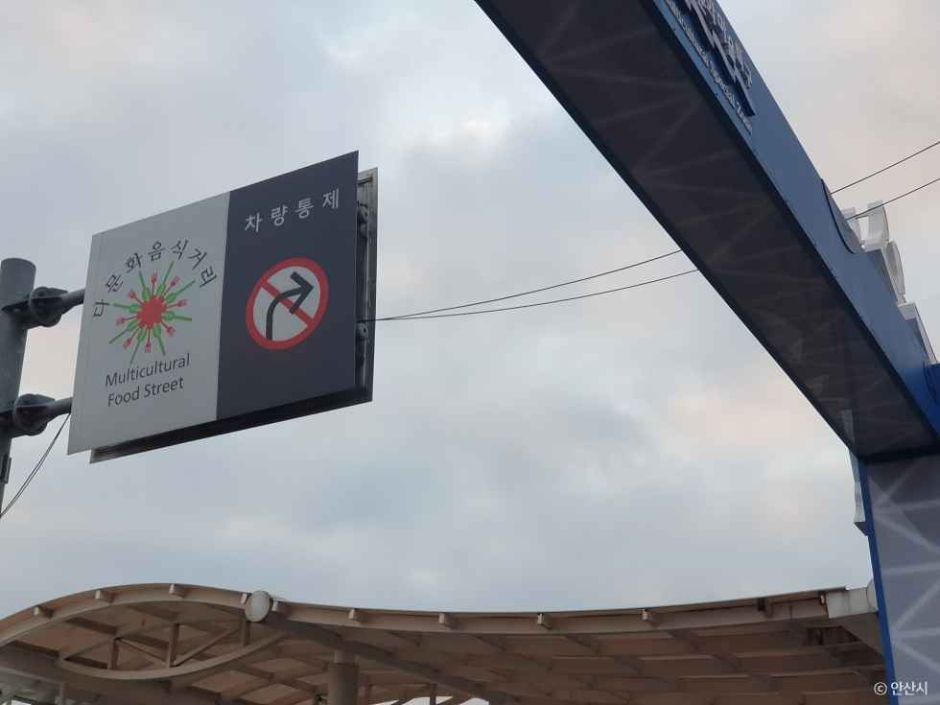 안산 다문화특구 (2)