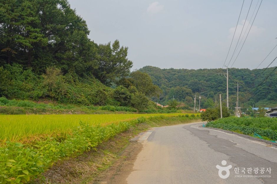 안성 구메농사마을
