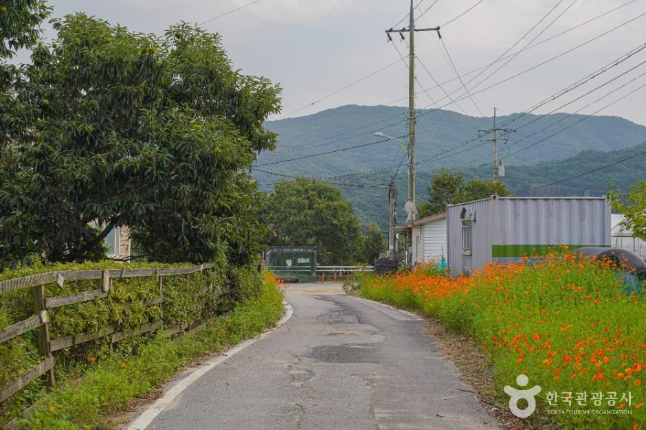 안성_안성 구메 농사마을 (4)