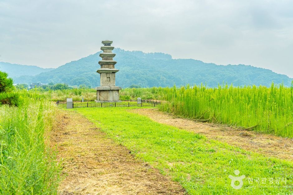 안성_안성 봉업사지 (1)