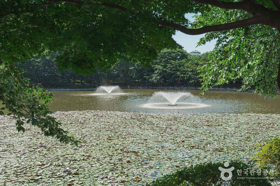 이천_안흥유원지 (5)