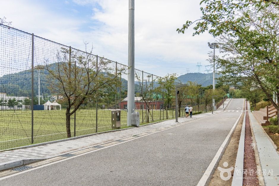 용인_양지체육공원 (6)