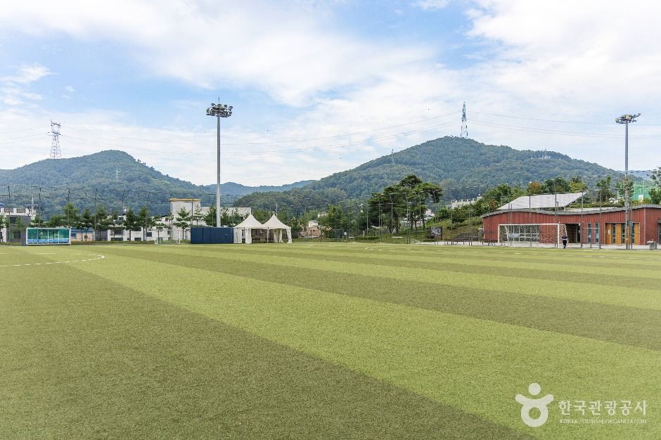 용인_양지체육공원 (1)