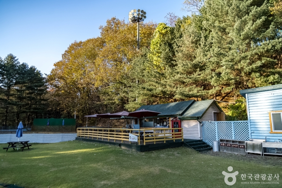 양지 파인펫파크 (12)