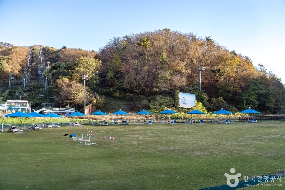 양지 파인펫파크 (14)