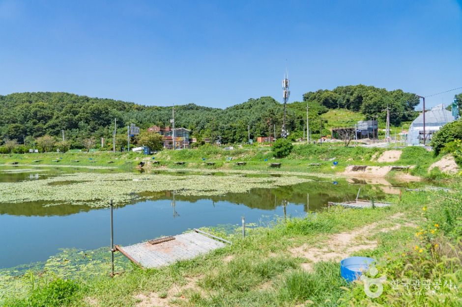 화성_어천저수지 (5)