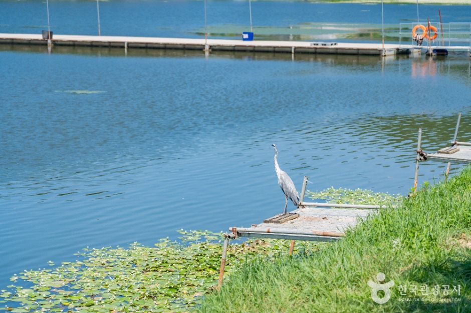 화성_어천저수지 (8)