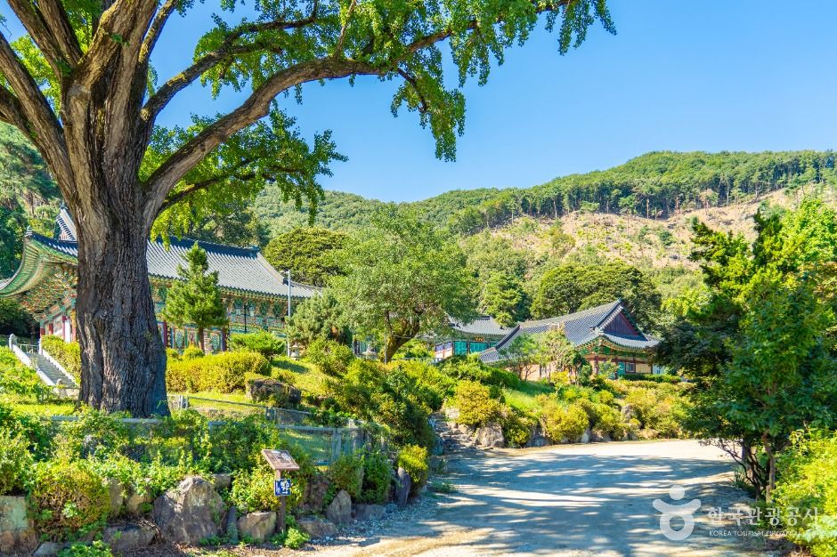 이천_영원사(이천) (2)