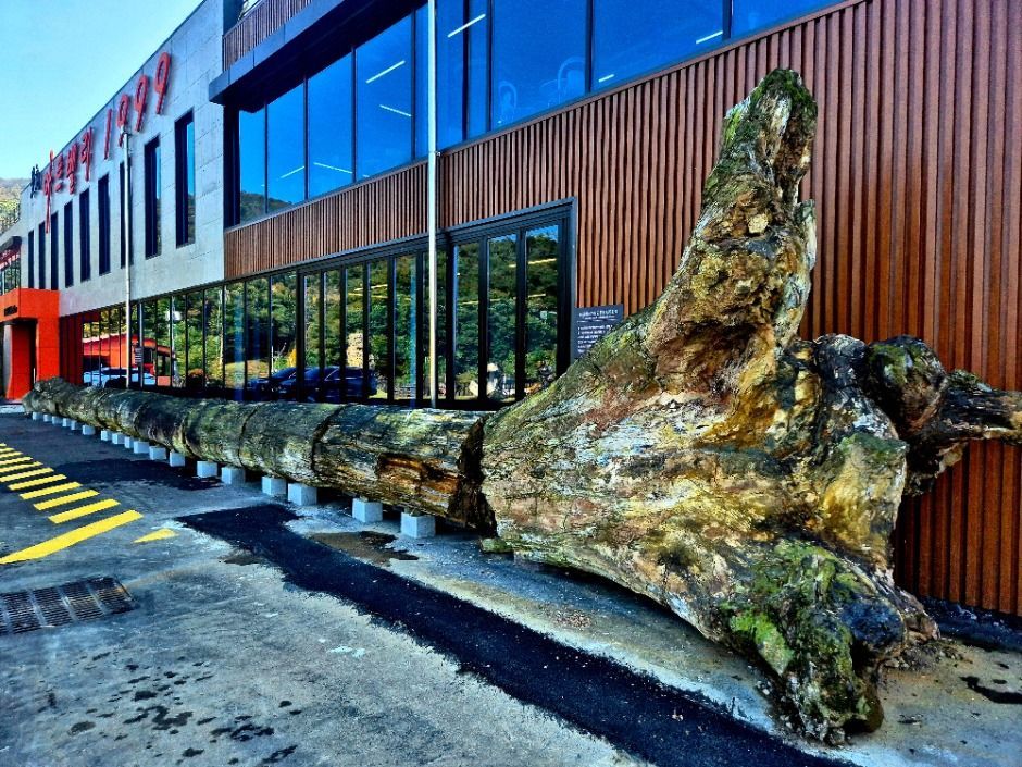 아트밸리1999 (4)